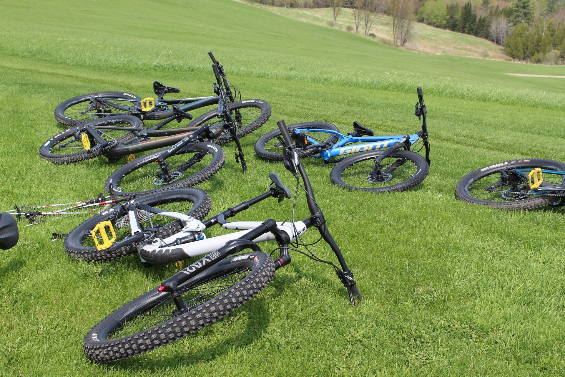 Mountain bikes laying on the grass