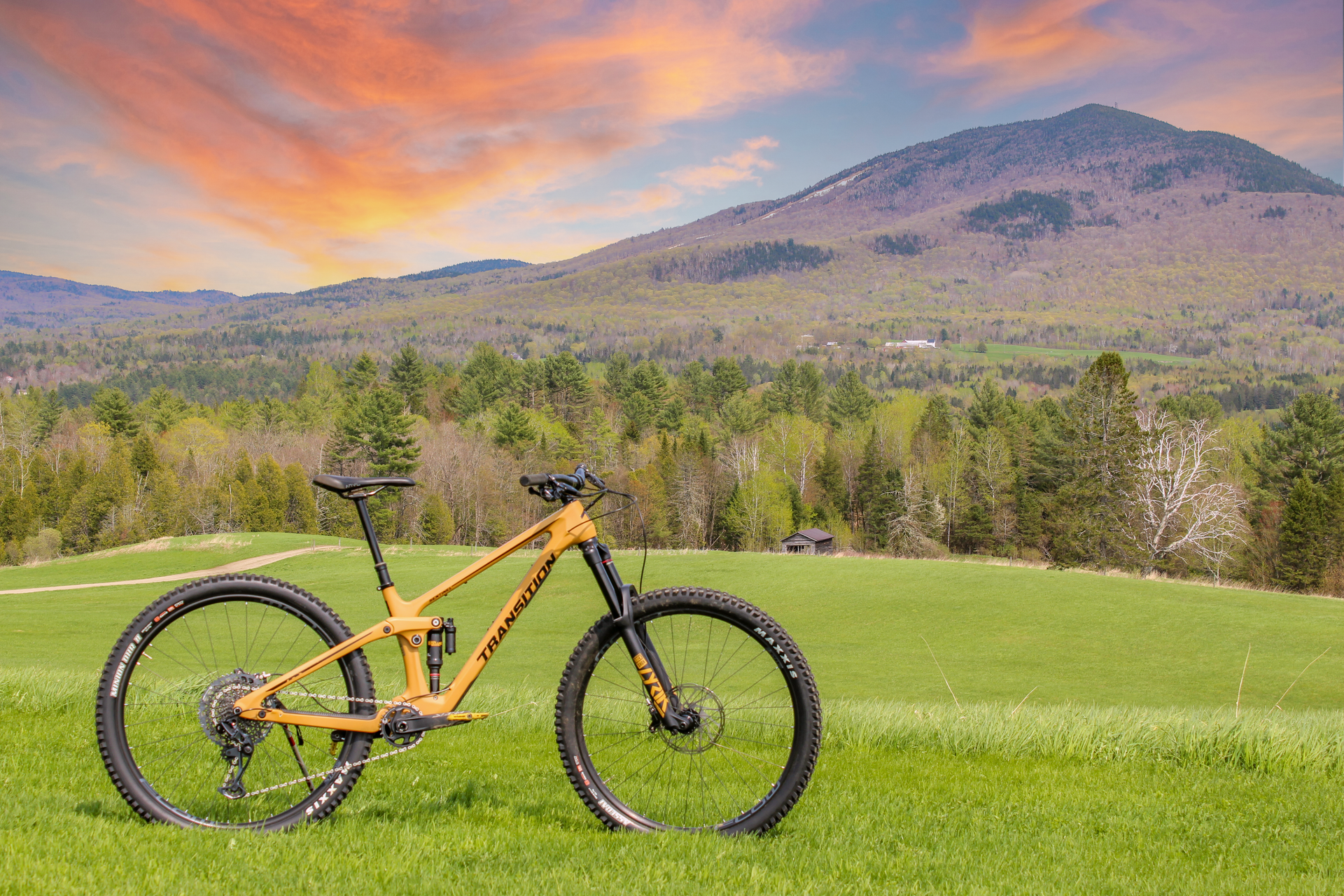 Yellow Transition Sentinel mountain bike in a field in front of Burke Mountain, Vermont.