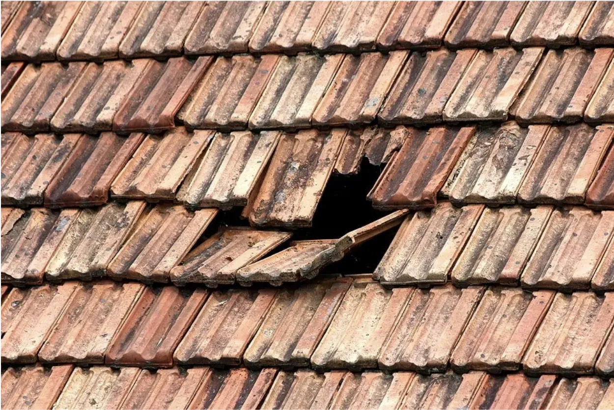 How Small Roof Problems Grow Into Major Expenses