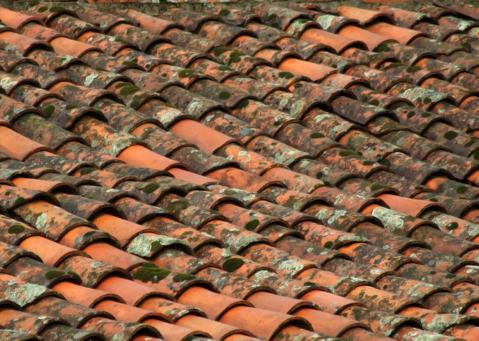 Mold and Health Risks From Delaying Repairs