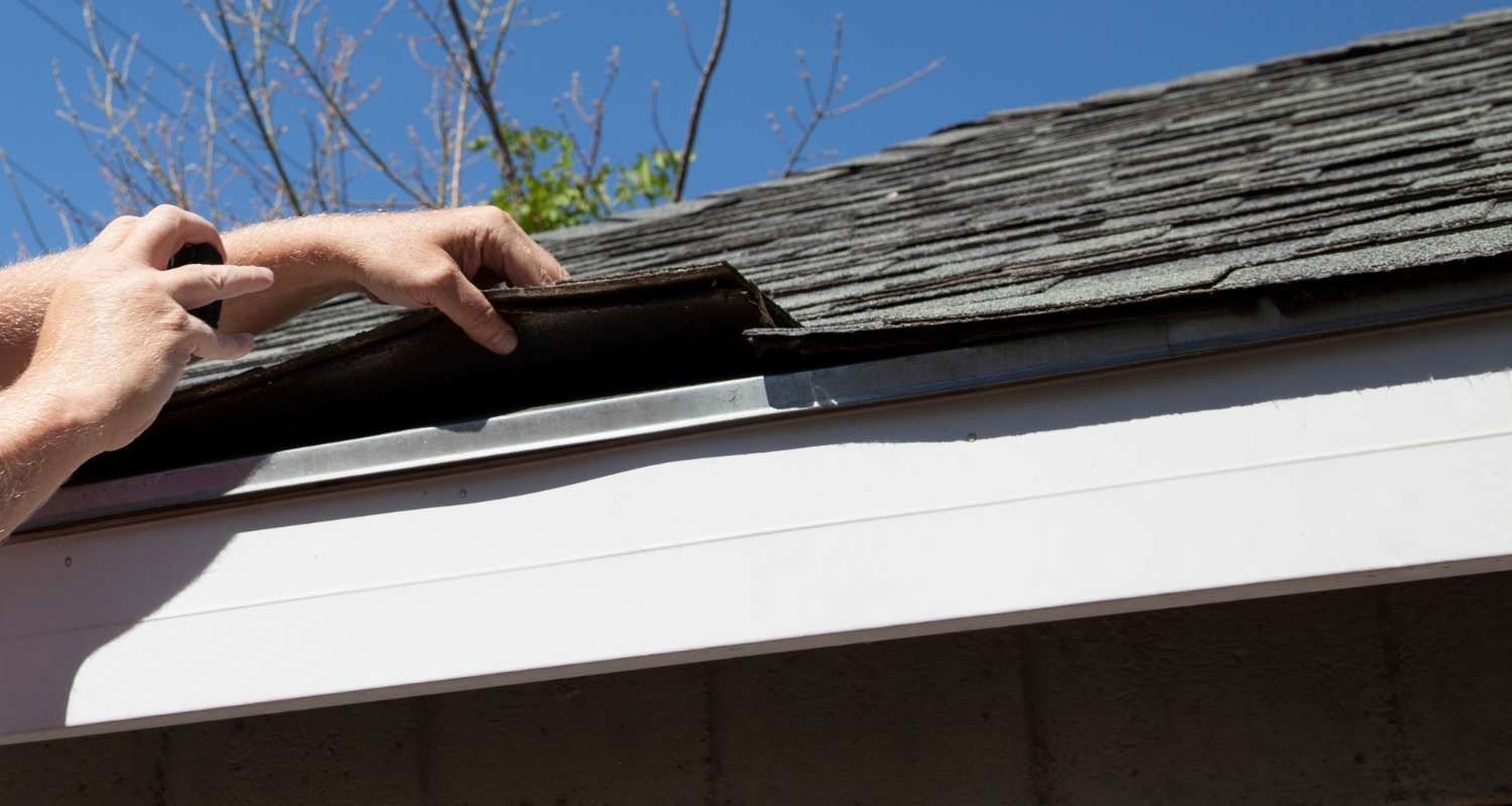 Prevent Future Growth: Long-Term Roof Care Tips