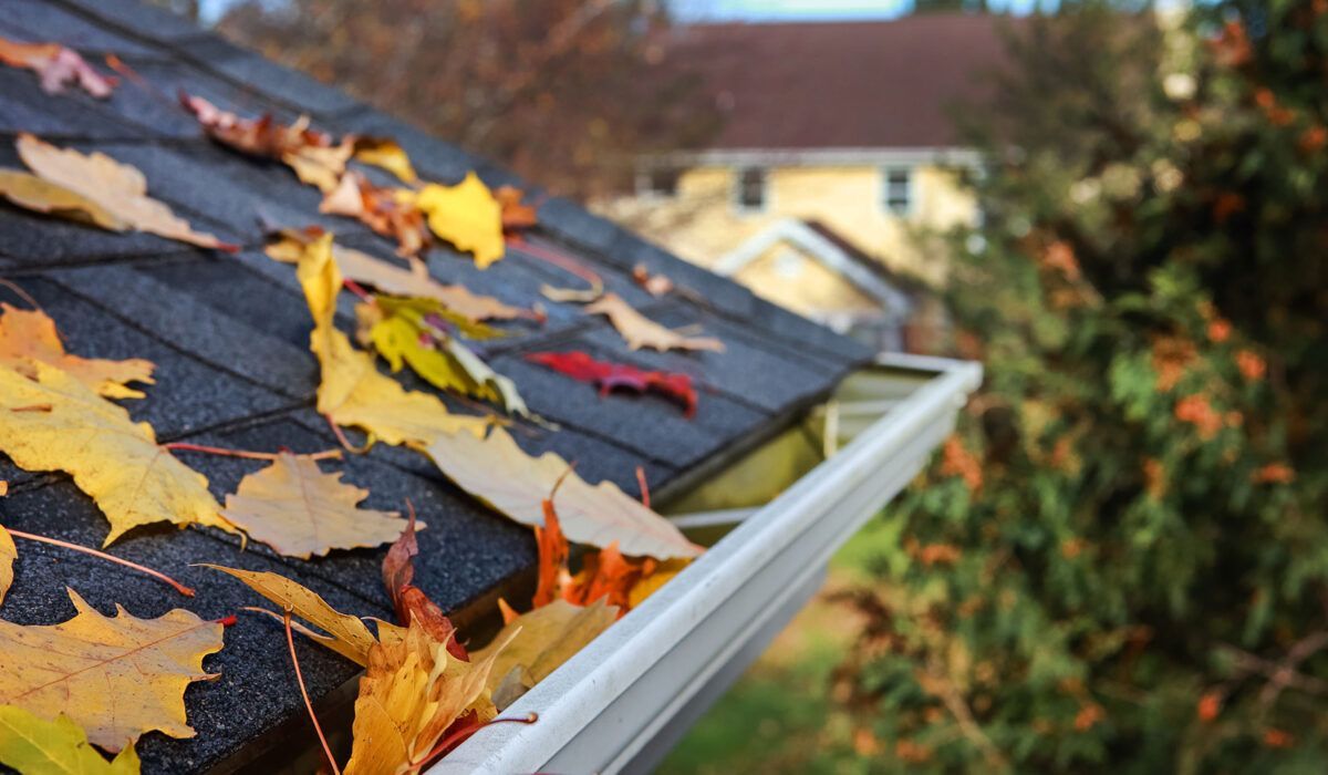 Pros and Cons of Replacing a Roof in Fall
