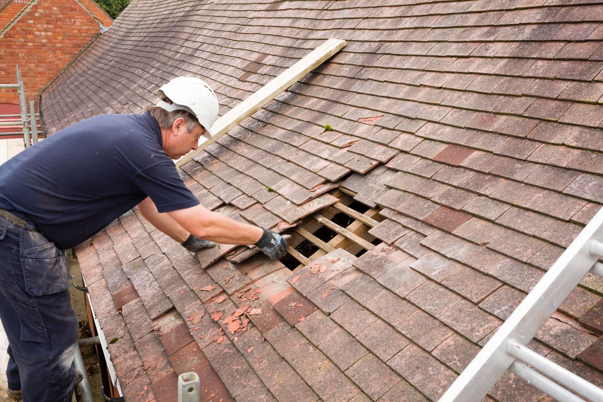 Roof Maintenance Delay Consequences in North Carolina