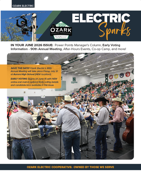 Electric Sparks newsletter cover with a large American flag and a group of utility workers outdoors