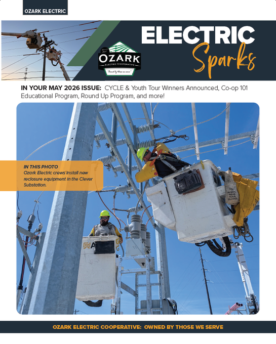 Electric Sparks newsletter cover with a large American flag and a group of utility workers outdoors
