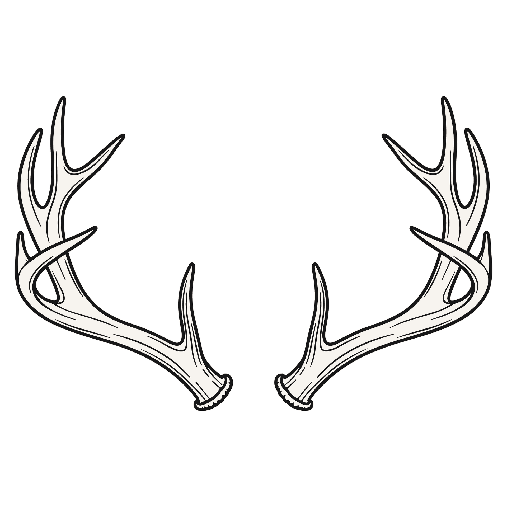 A black and white line drawing of a pair of symmetrical deer antlers on a white background.
