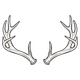 A black and white line drawing of a pair of symmetrical deer antlers on a white background.