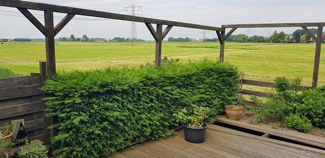 tuinontwerp abbenbroek