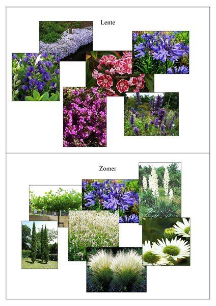 tuinontwerp Spijkenisse