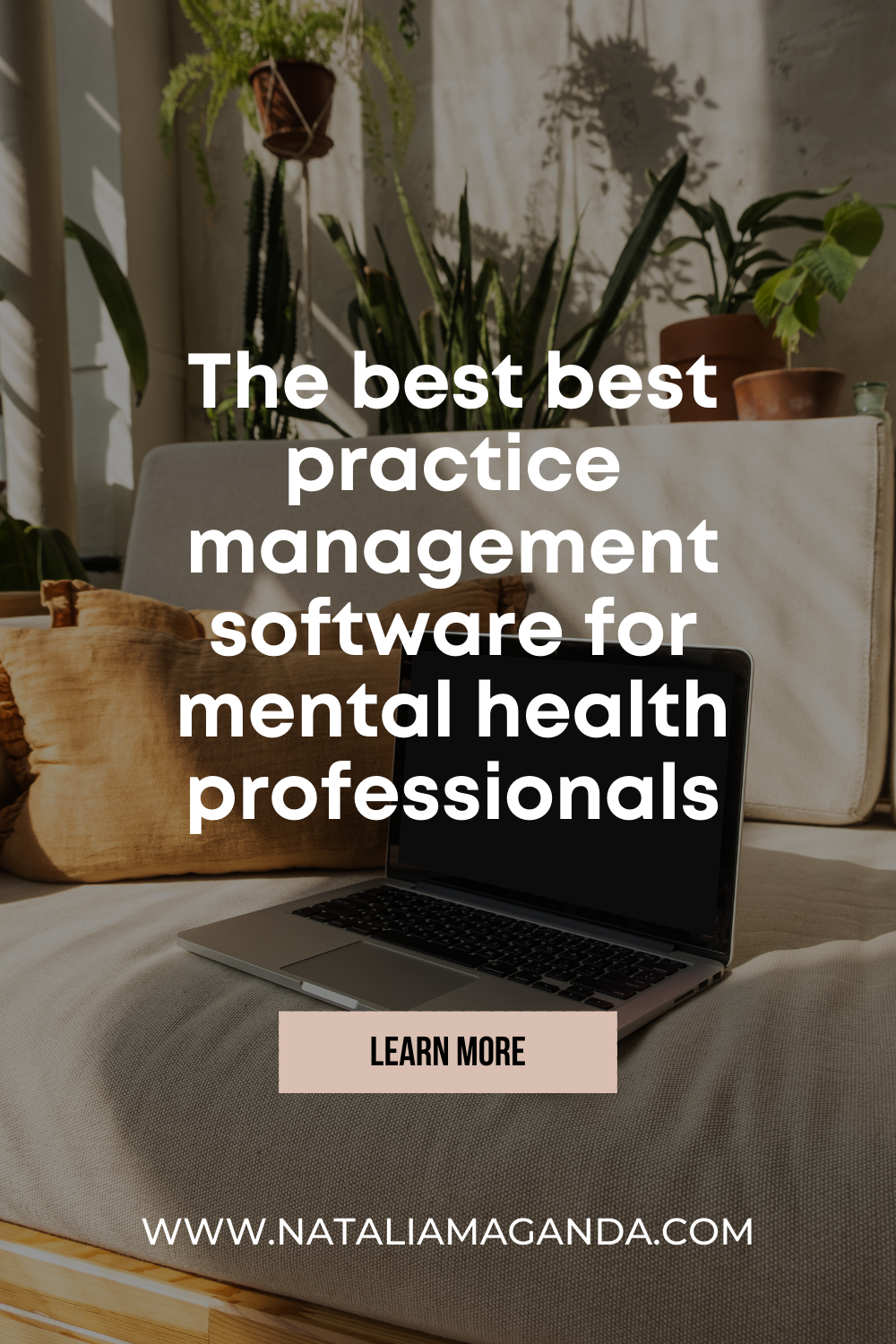 emr software