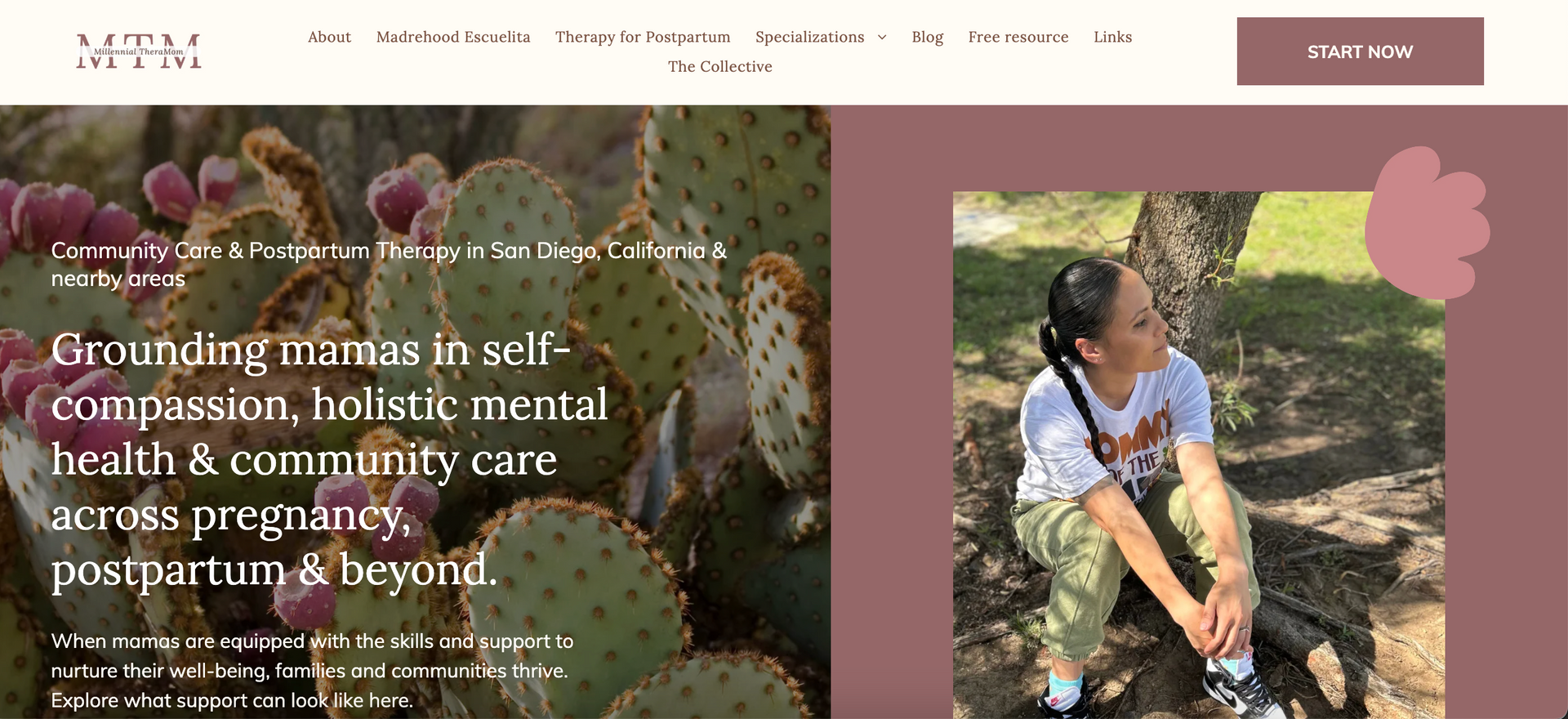 website for maternal mental health