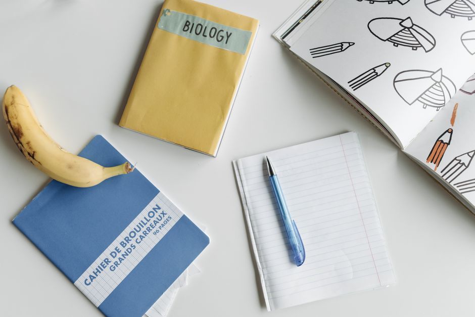 Row of matching notebooks with different colored ribbon markers representing distinct clinician bio pages