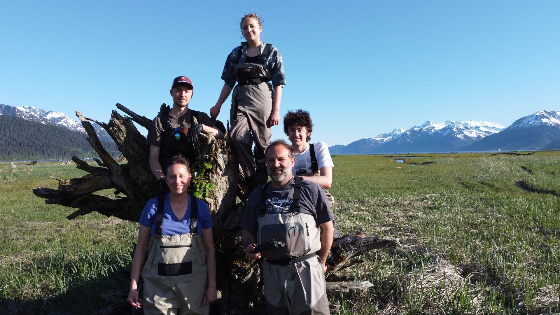 Two log cabins with green roofs and mountains in the background
