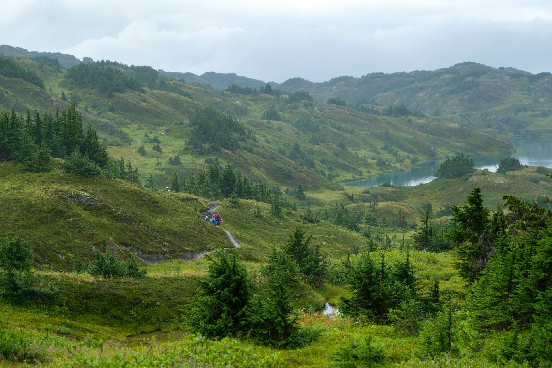 A group of people are walking down a path in the mountains.