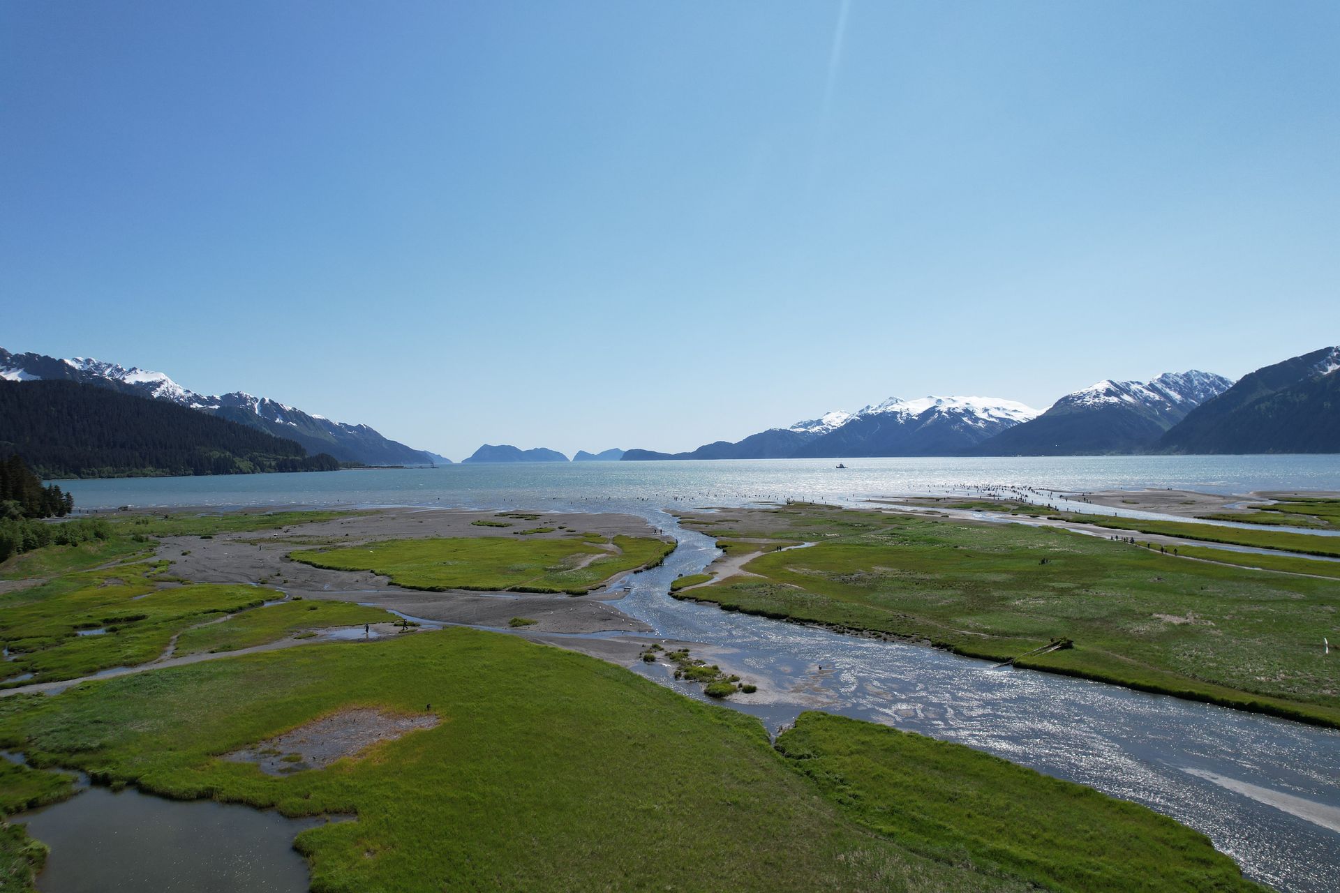 Grassy marsh and stream leading to a bay with mountains under a bright blue sky.