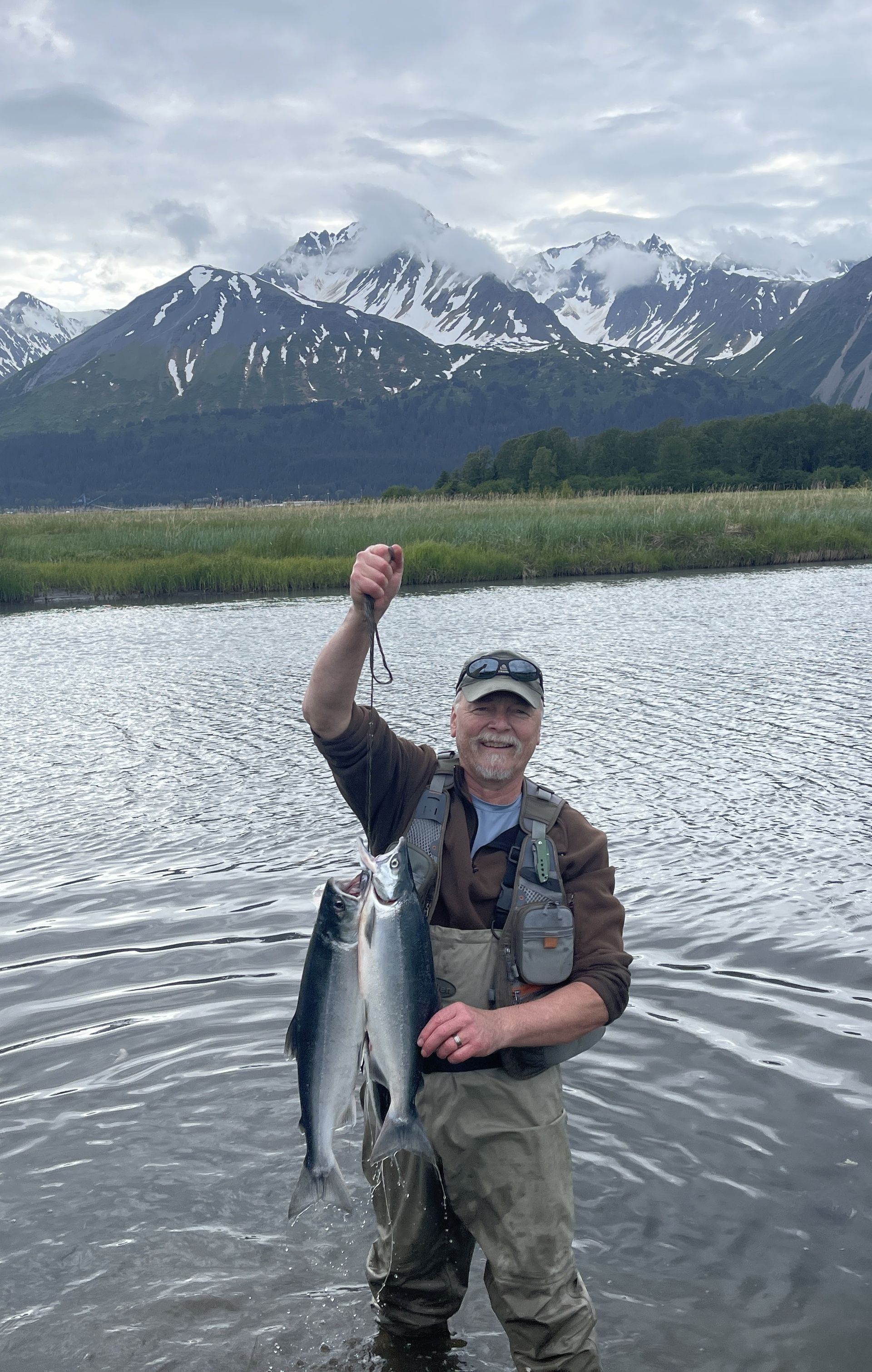 A couple of fish are swimming in a stream.