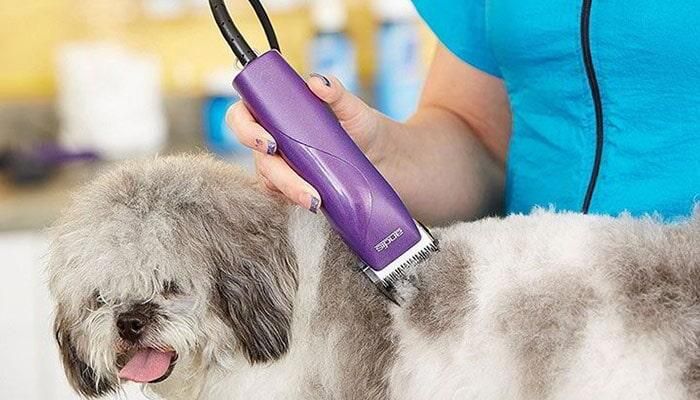 CLÍNICA VETERINARIA EN PLAZA VIPS  -  PELUQUERIA