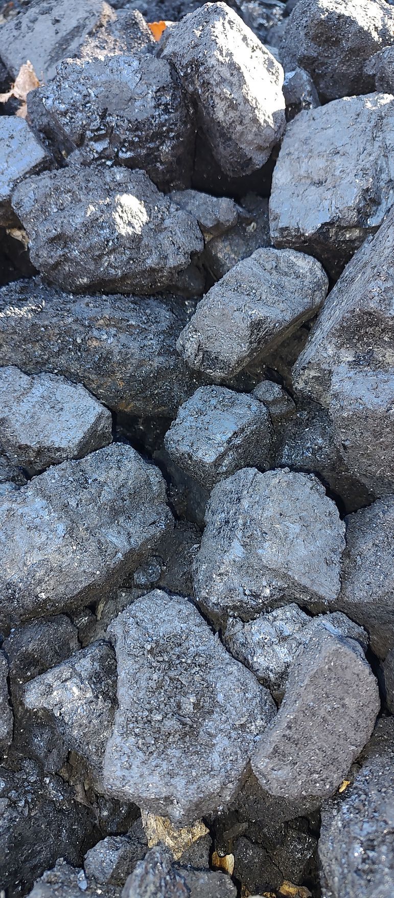 Anthracite House Coal