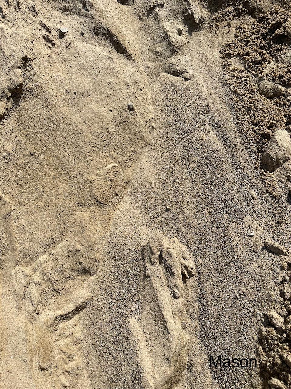 Mason and concrete sand sold by the ton