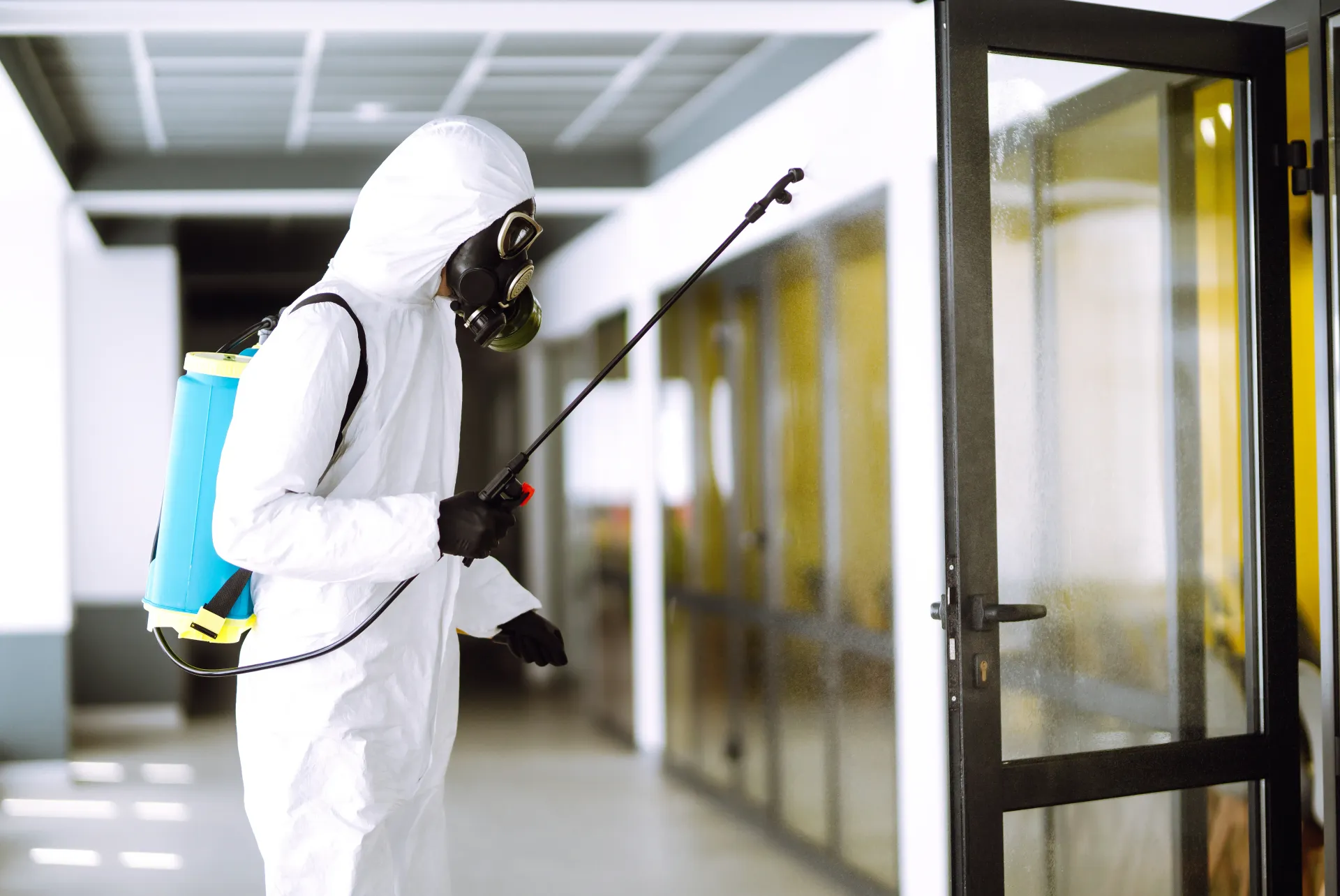 Wipe-Out Pest Control LLC customer review from homeowner in Edinburg, TX