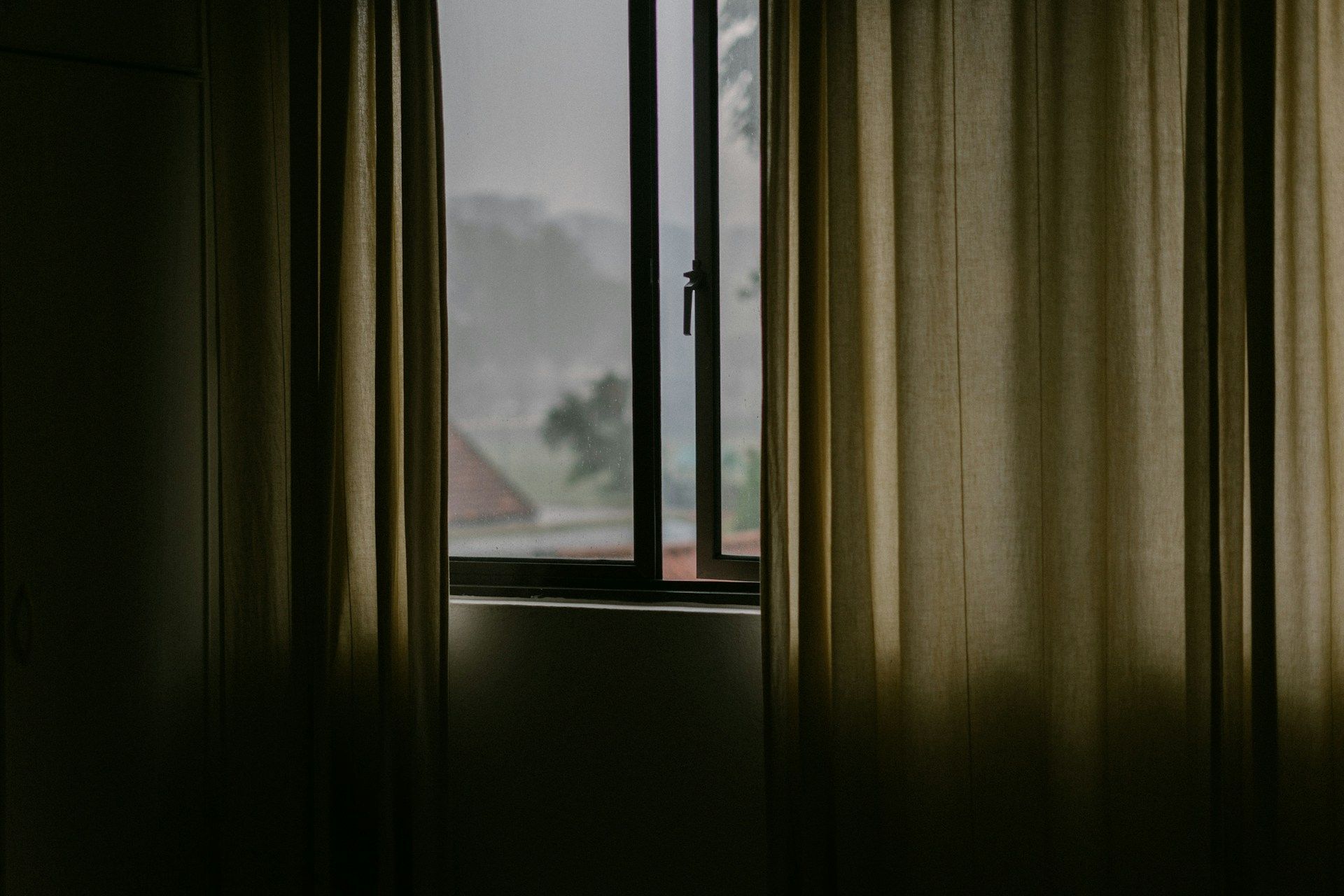 Window Film