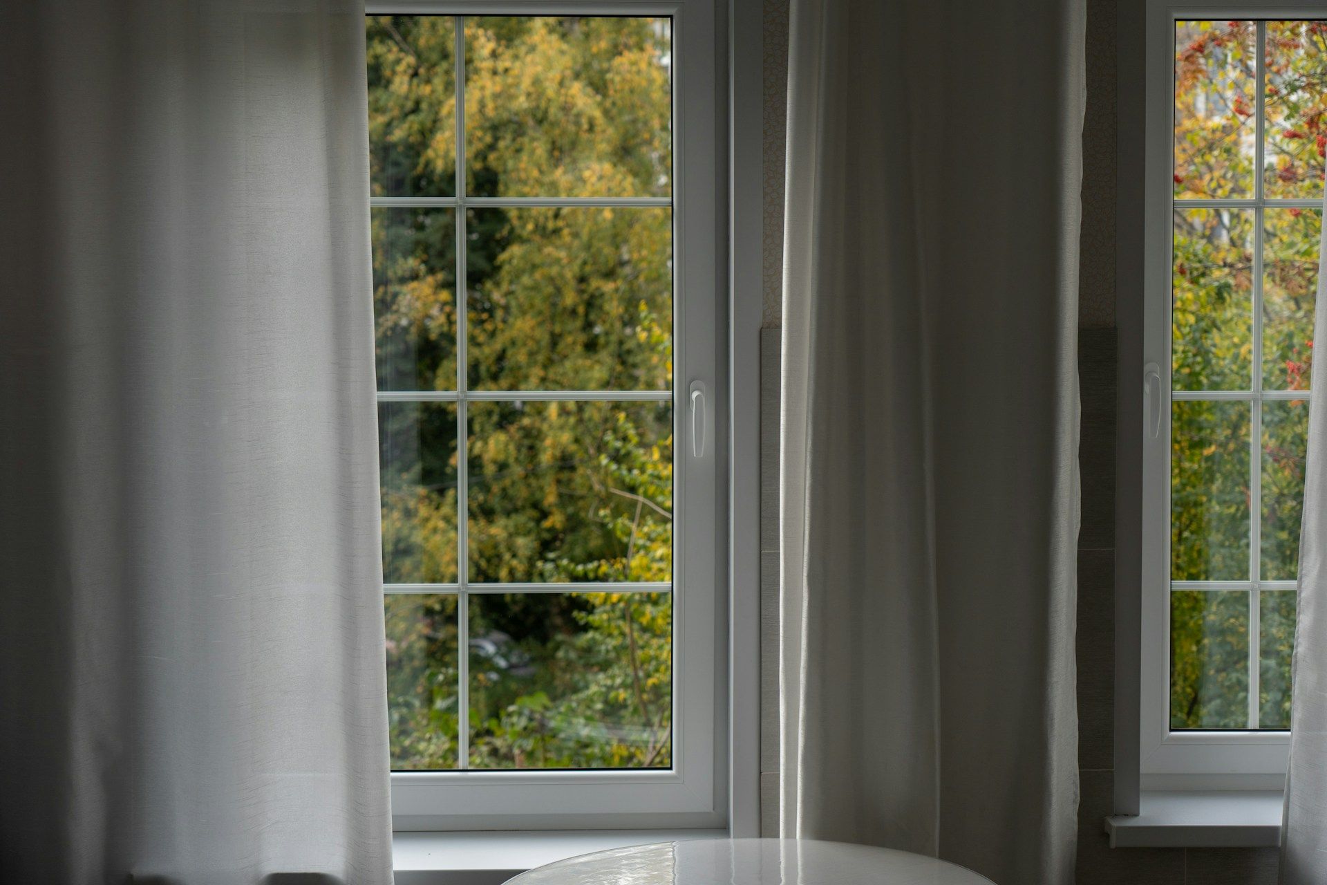 Window