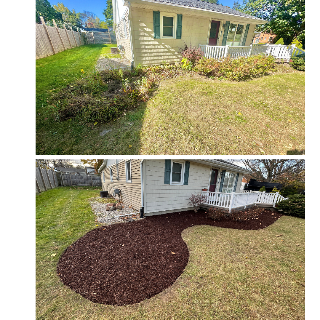 Landscape install in Haslett, MI. Services were weed removal, bed edging, and mulching with Walnut Brown mulch.
