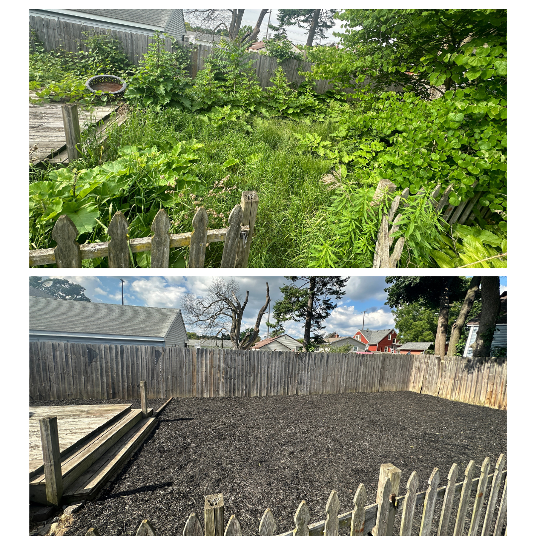 Brush clearing in Greater Lansing, MI. Landscape fabric and black mulch install after clearing out.