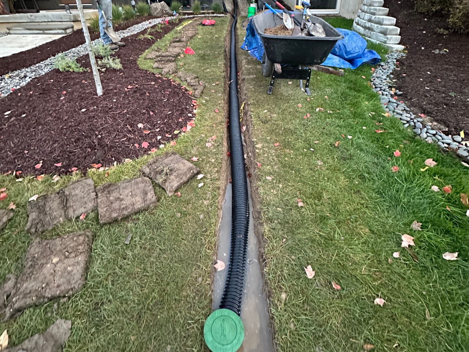 Downspout drain installation with pop-up emitter in Haslett, MI