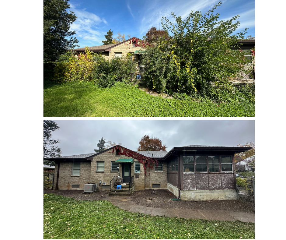 Tree removal, brush clearing, and weed removal in Okemos, MI