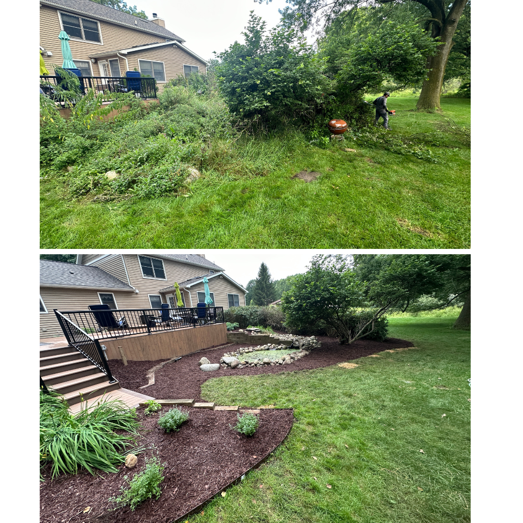 Landscape tear out and remodel in Okemos, MI. Tasks completed were: pulling weeds, mulching using Walnut Brown mulch, edging install, planting, and trimming bushes and trees