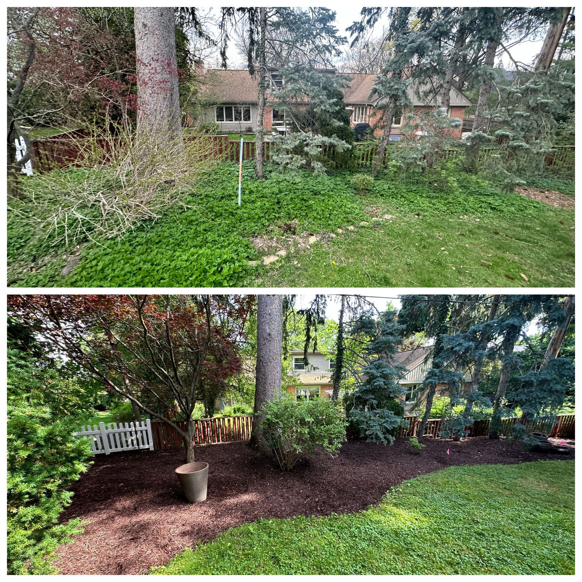 Landscape bed install in East Lansing, MI. Brush clear out, weed removal, and tree trimming and then bed edging, fabric, and mulch installation.