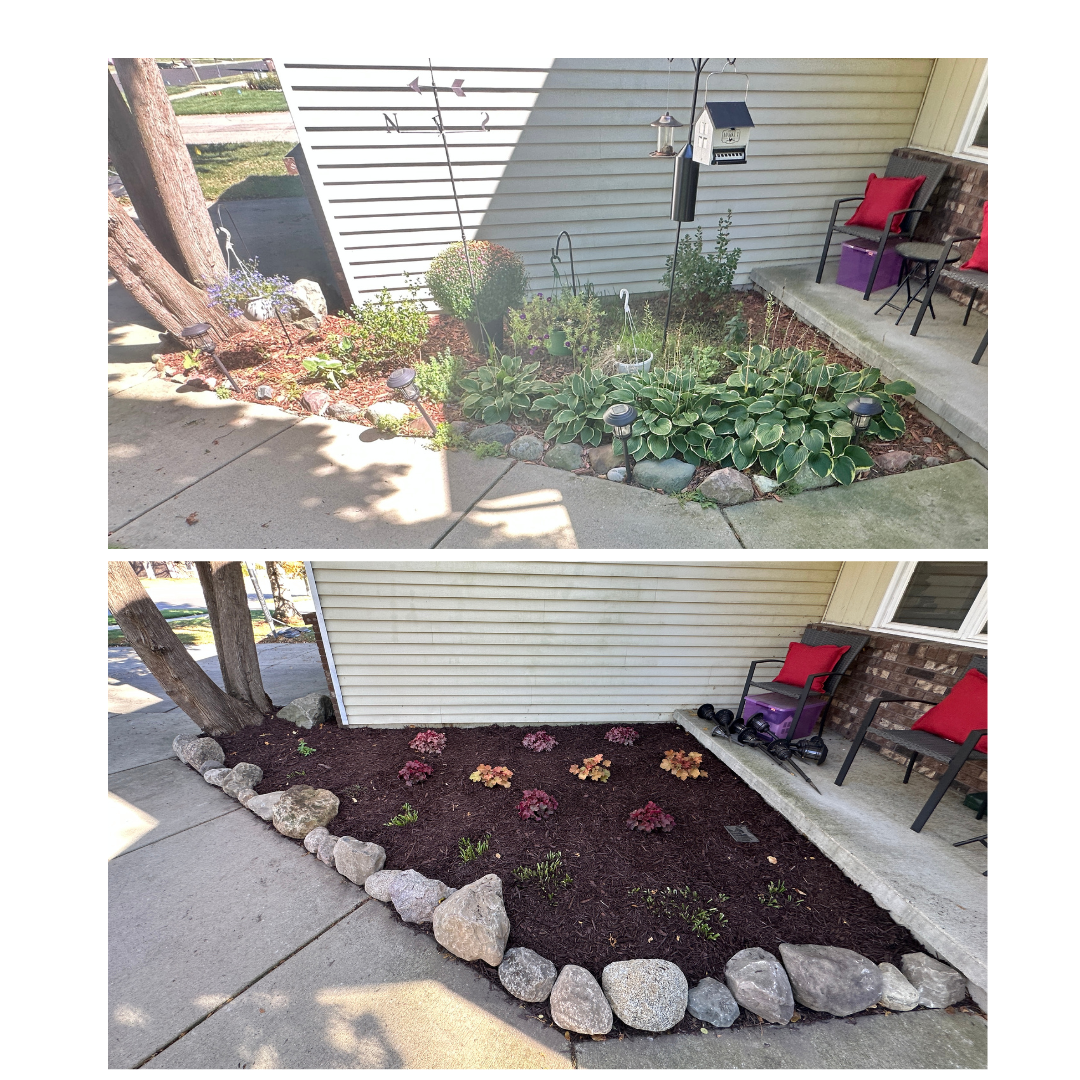 Landscape install in Haslett, MI. Services included stone border install, pruning perennials, planting, removing weeds, installing topsoil, and mulching.