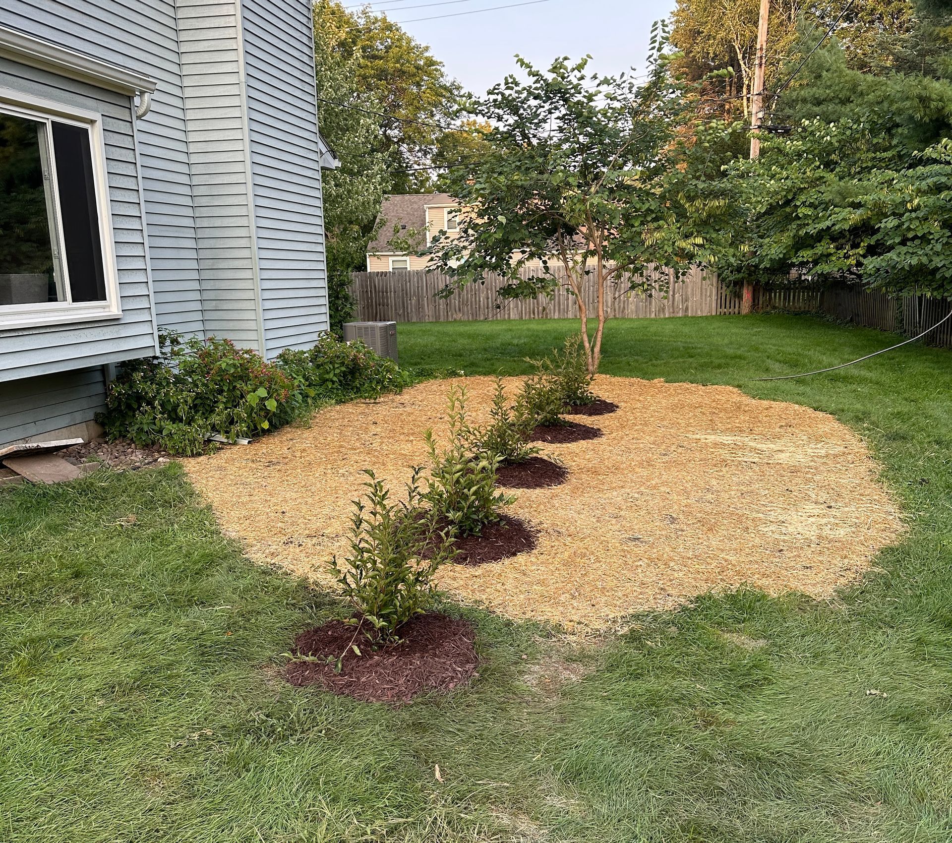 Backyard regrading and lawn installation with new shrubs planted in East Lansing, Michigan to improve drainage and lawn establishment
