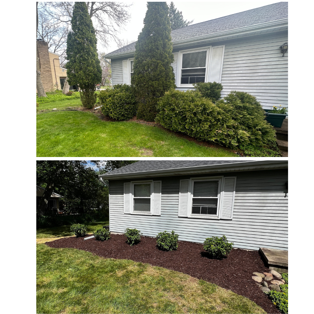 Tree and bush removal and new plantings. Landscaping in East Lansing, MI.