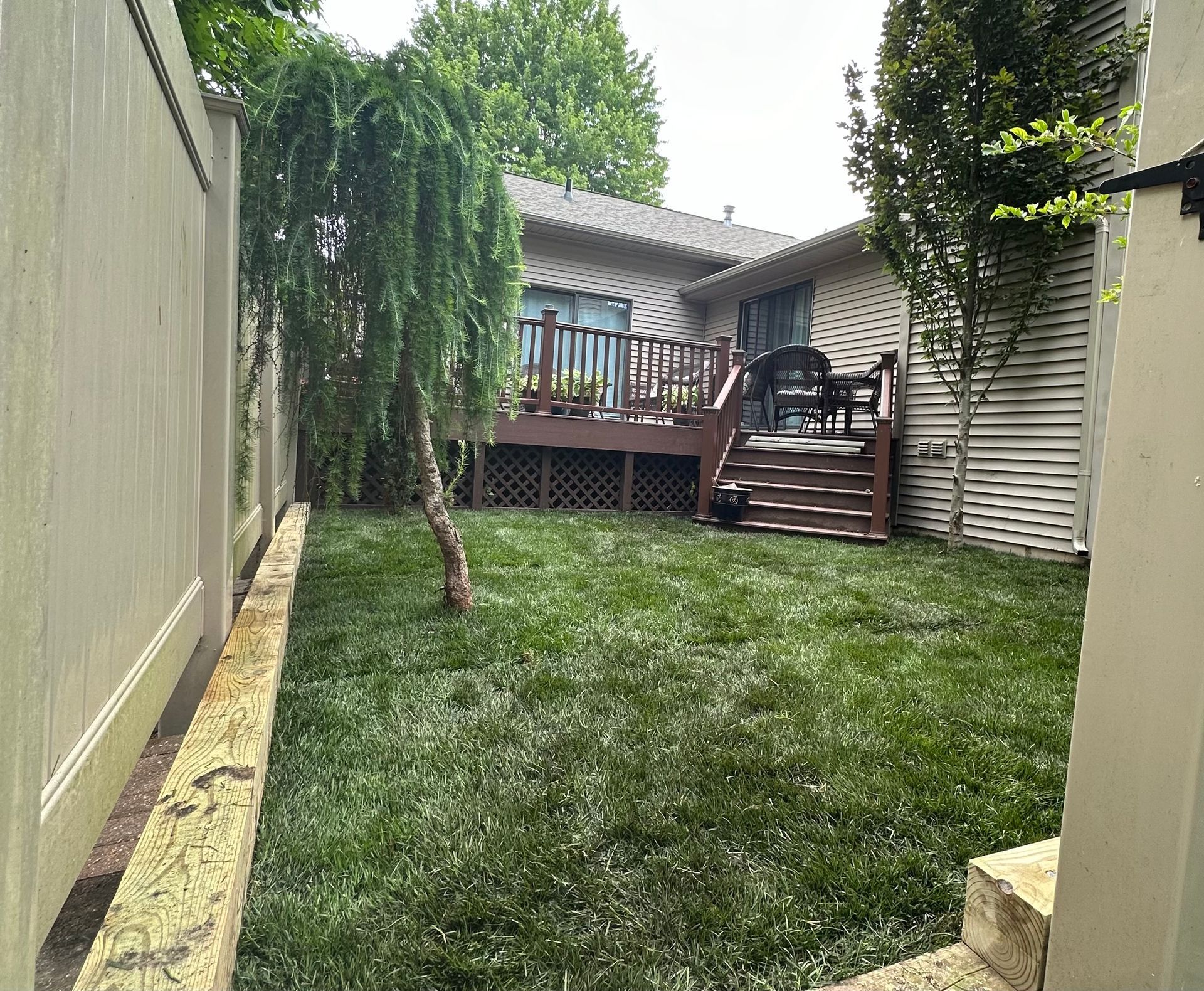 Fresh sod installation creating a clean, level backyard lawn in East Lansing, MI