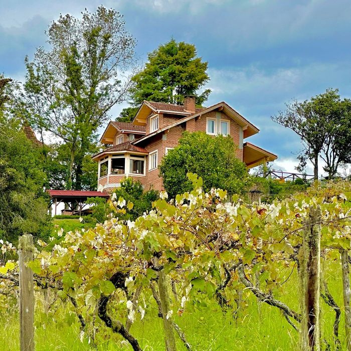 Uma casa fica no topo de uma colina cercada por árvores