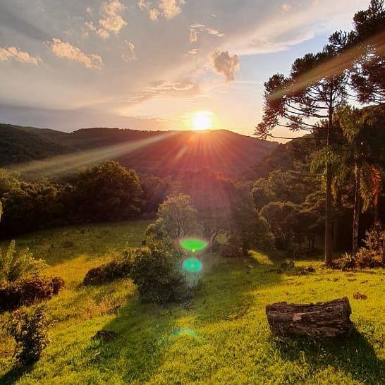 O sol está se pondo sobre um campo verdejante cercado por árvores.
