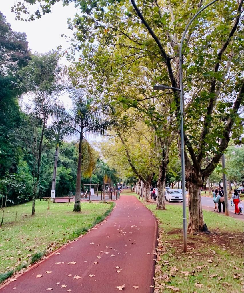 Caminho vermelho através de um parque cercado por árvores, carros e pessoas ao longe.