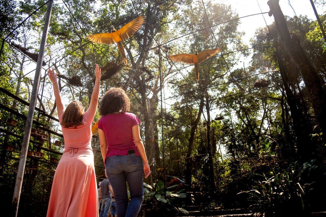 Duas mulheres observam grandes borboletas alaranjadas em uma floresta ensolarada. Uma delas levanta os braços em sinal de alegria.
