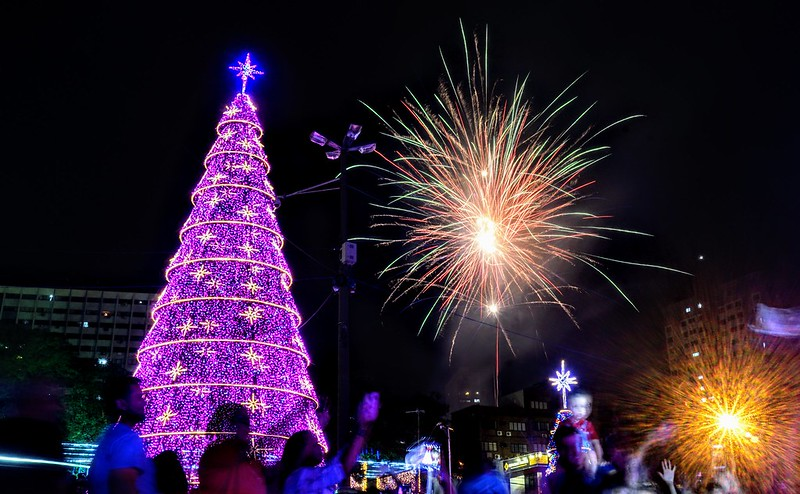 Uma alta árvore de Natal roxa com fogos de artifício explodindo no céu noturno. Pessoas observando.