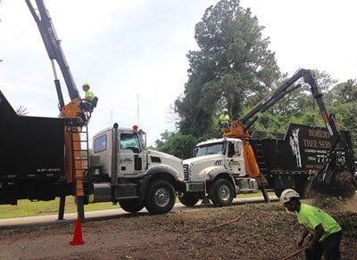 Two truck service — Tree Removal in Jacksonville, FL