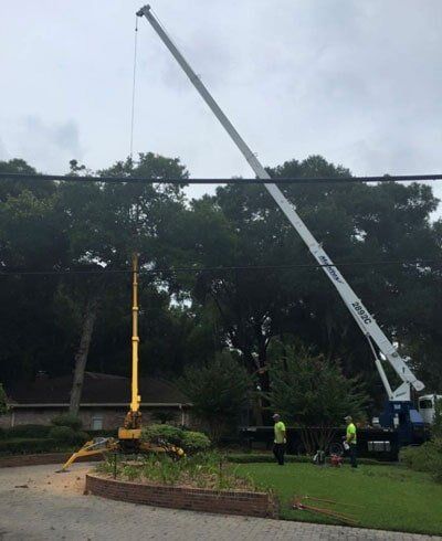 Crane use in tree service — Tree Removal in Jacksonville, FL
