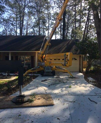 Tree service — Tree Removal in Jacksonville, FL