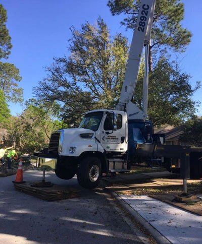 White truck — Tree Removal in Jacksonville, FL