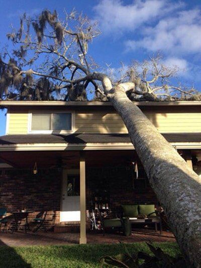 Tree fall in a house — Tree Removal in Jacksonville, FL