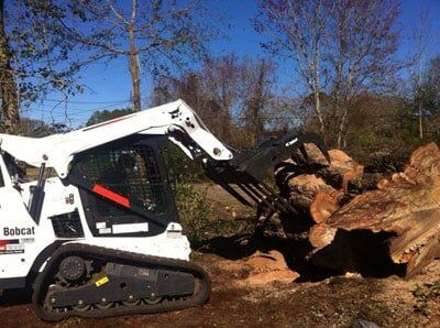 Set of cut tree — Tree Removal in Jacksonville, FL