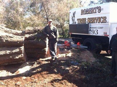 Man beside of a cut tree — Tree Removal in Jacksonville, FL