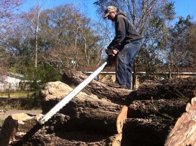 Man cut tree using chainsaw — Tree Removal in Jacksonville, FL
