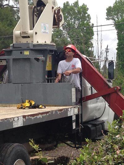 Man in a truck — Tree Removal in Jacksonville, FL